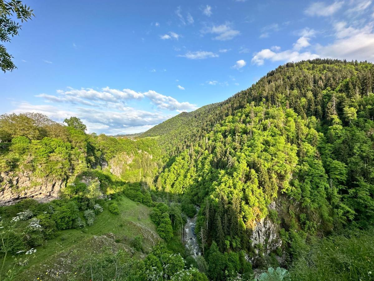 Green Mountain Bordzjomi Buitenkant foto